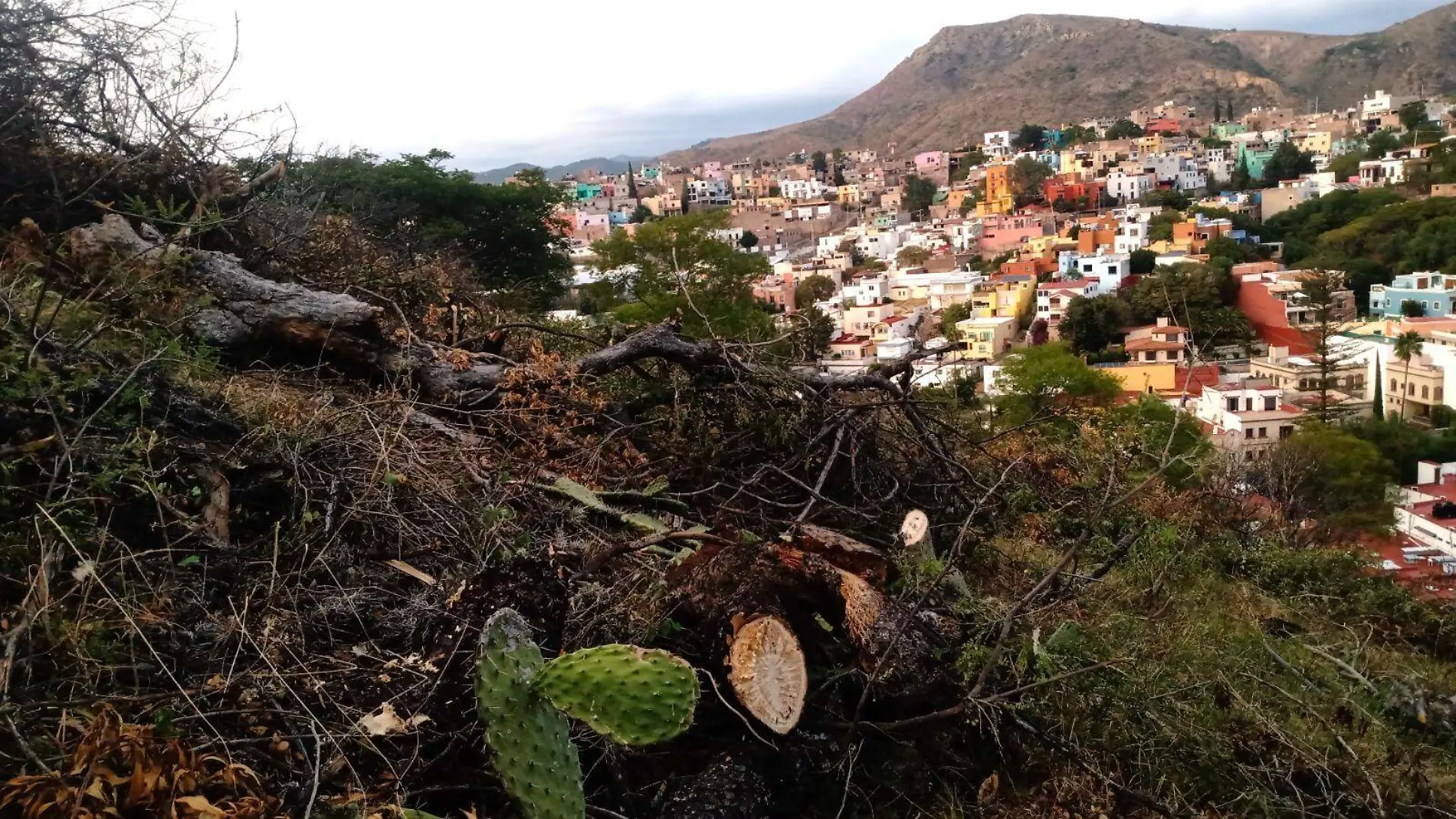 TRABAJA GUANAJUATO EN IMPUESTOS ECOLÓGICOS(1)